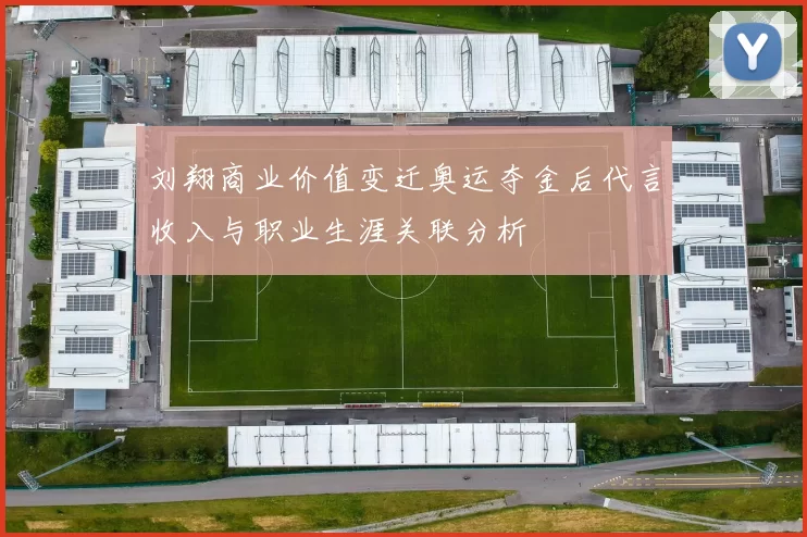 刘翔商业价值变迁奥运夺金后代言收入与职业生涯关联分析