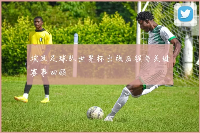 埃及足球队世界杯出线历程与关键赛事回顾