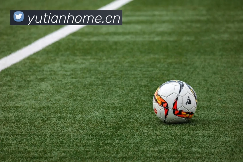 zoty中欧·(中国有限公司)官方网站平台生态图